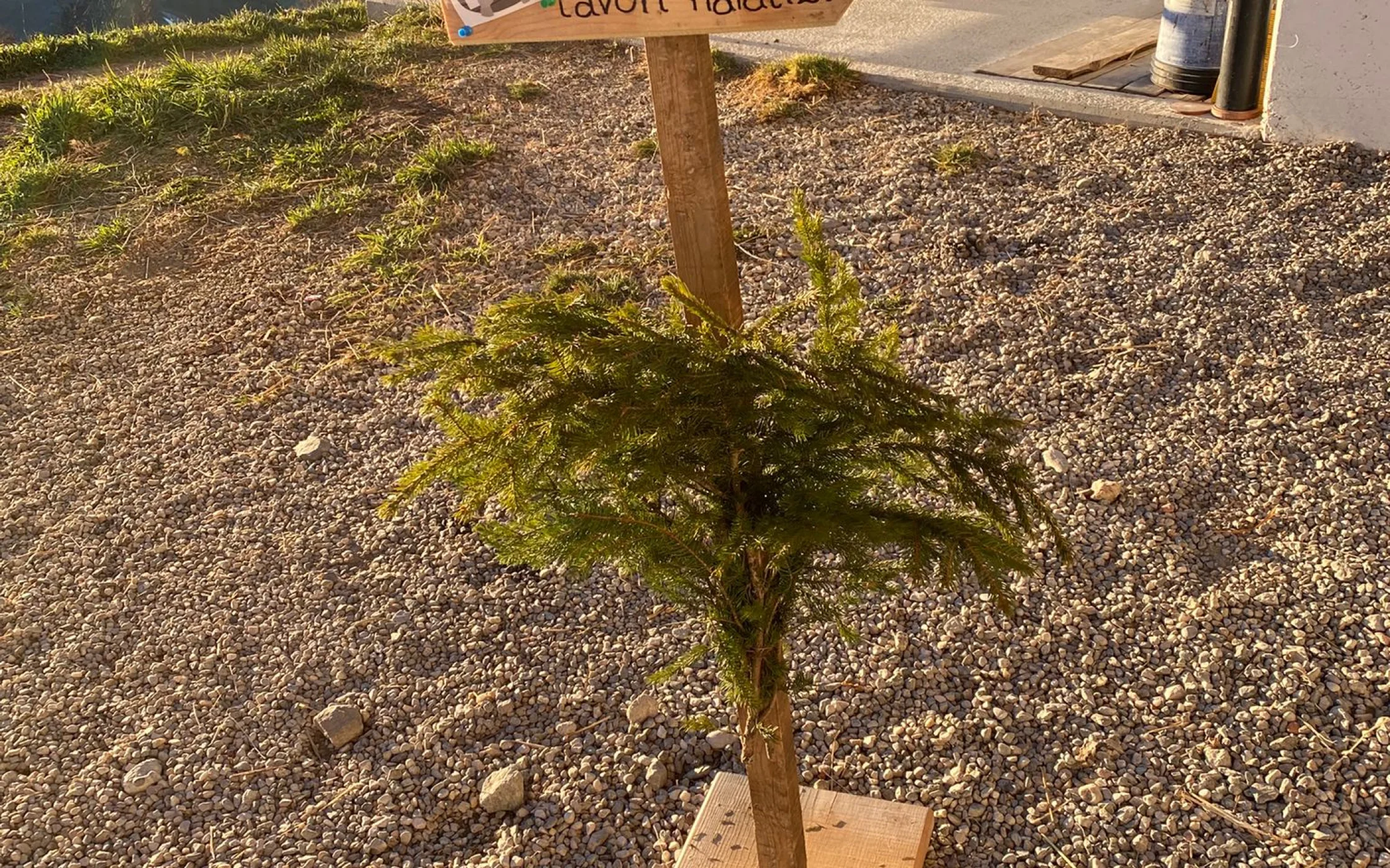 Moarhof_Advent am Bauernhof 2024 3.jpg
